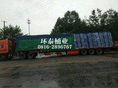 環(huán)衛(wèi)掛車(chē)?yán)皬S(chǎng)家 助推龍門(mén)鄉(xiāng)鎮(zhèn)清潔環(huán)保